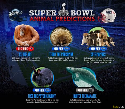 Predictions for super bowl. Things To Know About Predictions for super bowl. 